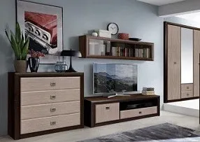 Гостиная Коен Венге/Штрокс 2