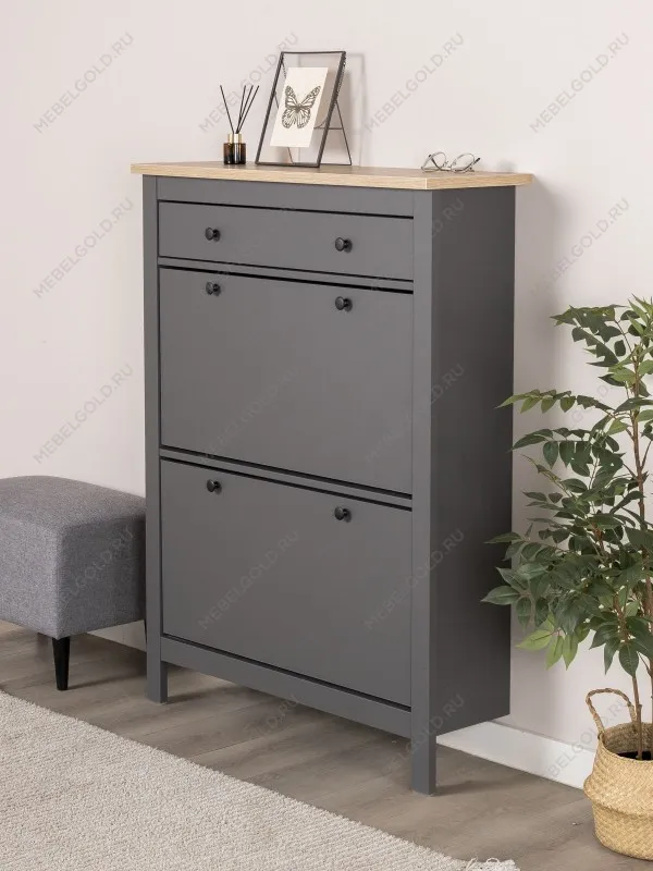 Обувница Сага с 2 откидными ящиками 92х122 серая-ясень | изображение 1