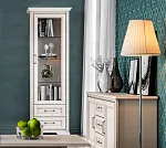 Шкаф-витрина Стилиус REG1W2S с подсветкой (Лиственница сибирская) | изображение 2