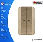 Шкаф угловой Дизель 2D | изображение 1